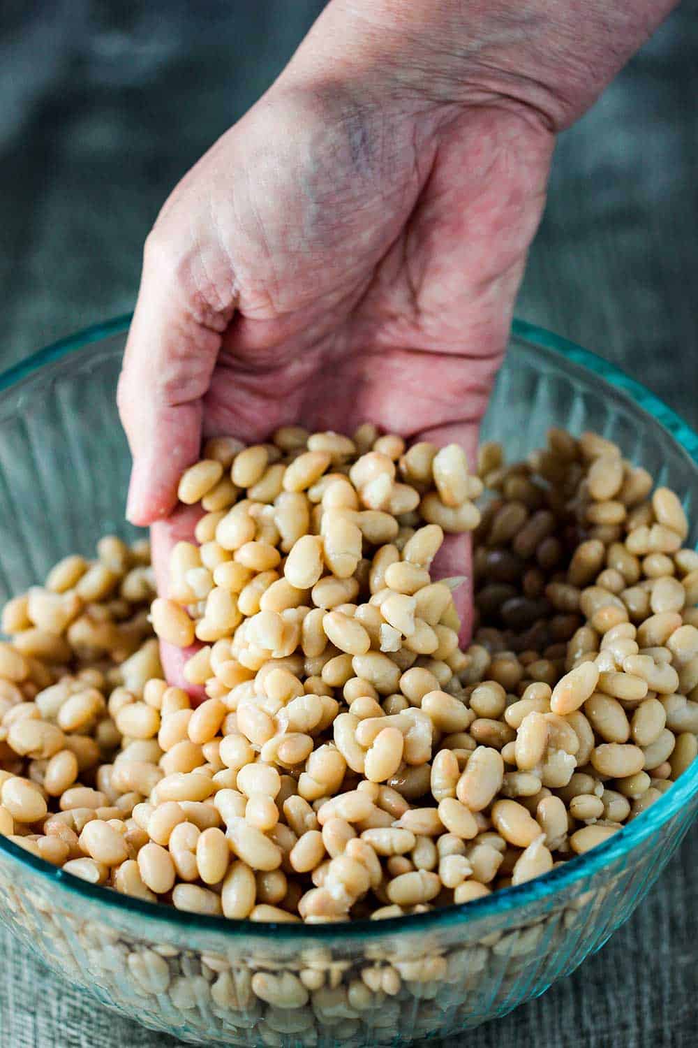 A hand holding drained and rinsed Great Northern white beans. 