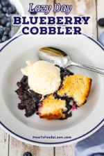 An overhead view of a white serving bowl filled with a helping of blueberry cobbler topped with a scoop of vanilla ice cream with a spoon off to the side.