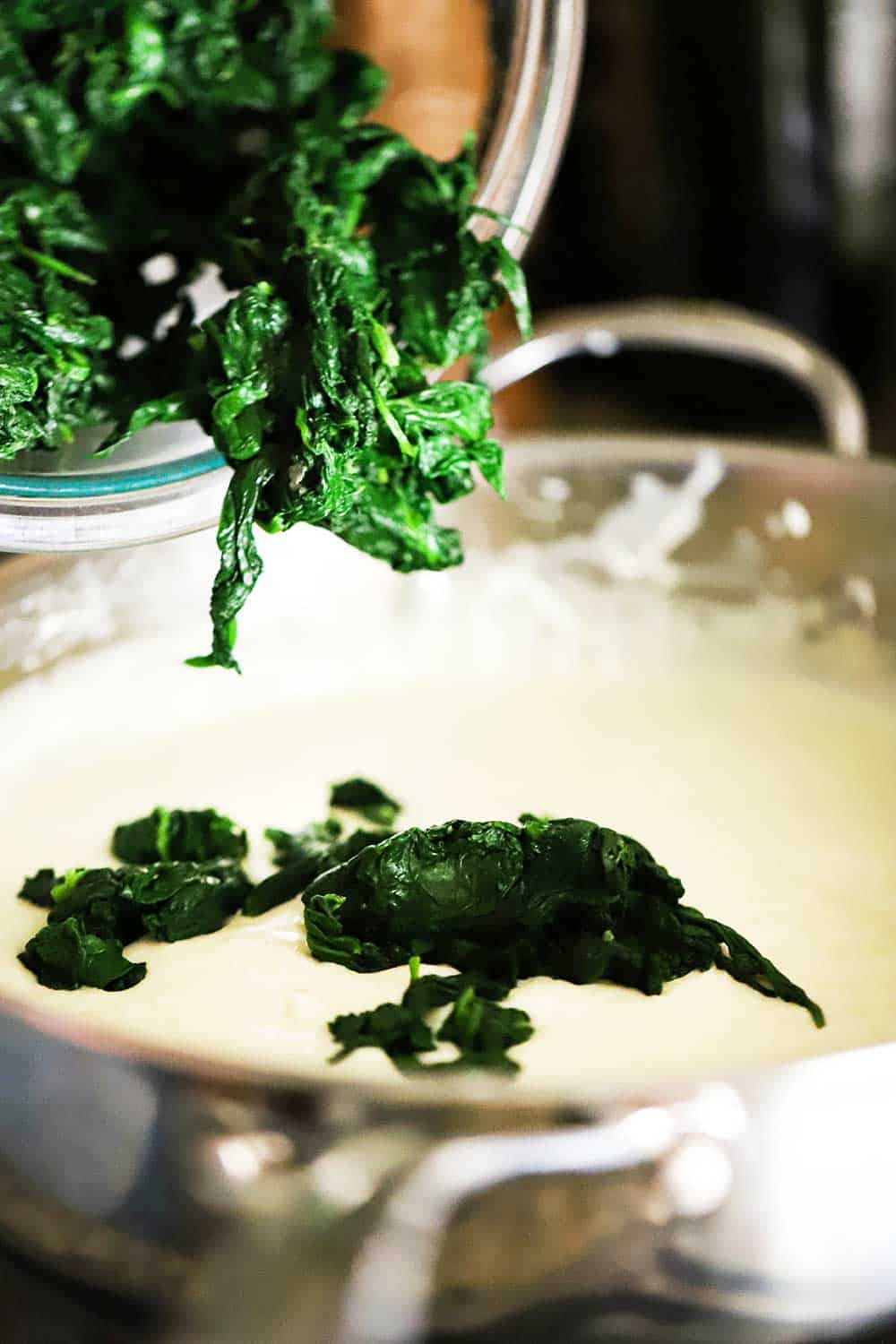 Blanched spinach leaves being dropped from a bowl into a skillet fillet with bechamel sauce. 