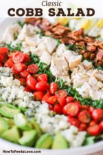 A close-up view of a Cobb salad that is lined with rows of chopped avocado, crumbled blue cheese, sliced tomatoes, cubed cooked chicken, crumbled bacon, and hard boiled egg wedges.