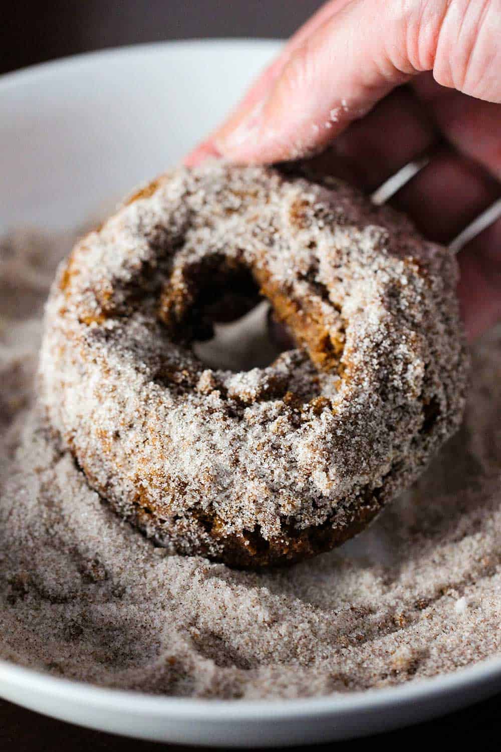 A hand dredging an apple cider doughnut in a bowl of a cinnamon sugar mixture. 