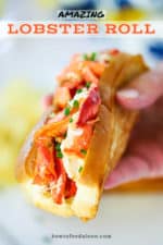 A hand holding a lobster roll with lots of pink lobster meat and a toasty bun right in your face.