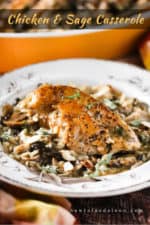 An antique plate holding a single serving of chicken and sage casserole.