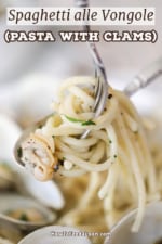 A fork and spoon being used to raise cooked spaghetti and a clam over a bowl of spaghetti alle vongole which is pasta with clam sauce.
