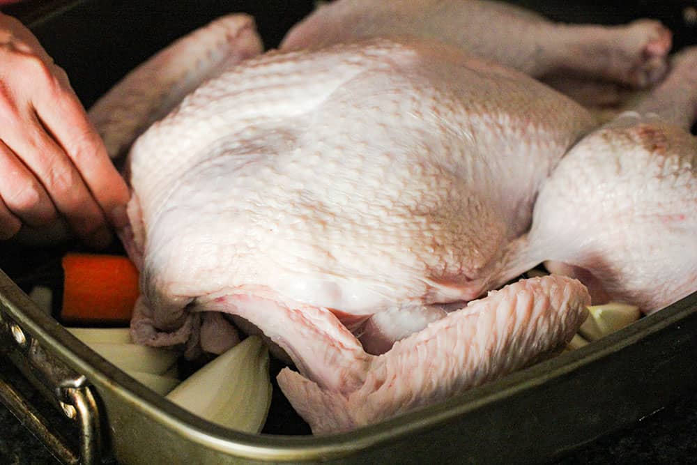 Two hands placing a spatchcocked turkey into a roasting pan on top of mirepoix. 