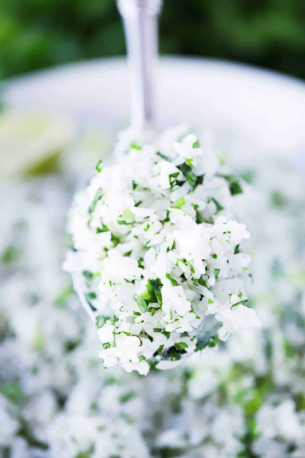 A large spoon holding up a serving of Cilantro Lime Rice over a white bowl of the same.