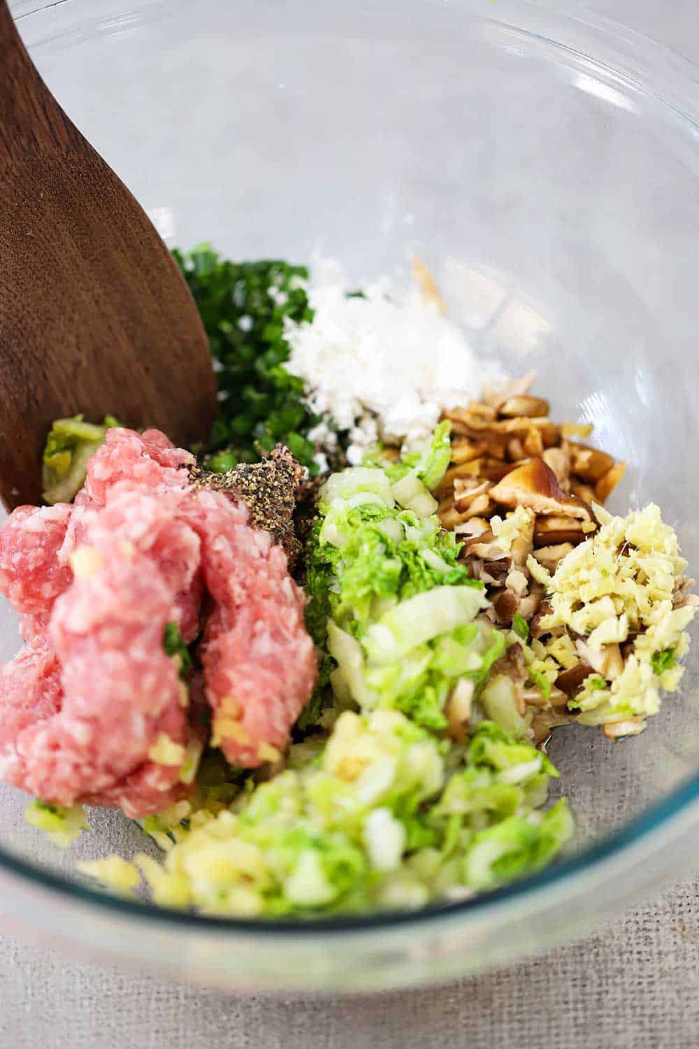 A glass bowl filled with ground pork, chopped cabbage, mushrooms, chives, and a wooden spoon ready to mix it all together. 