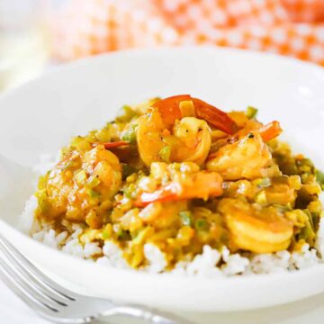 A circular white dinner bowl filled with shrimp curry on top of steamed white rice.