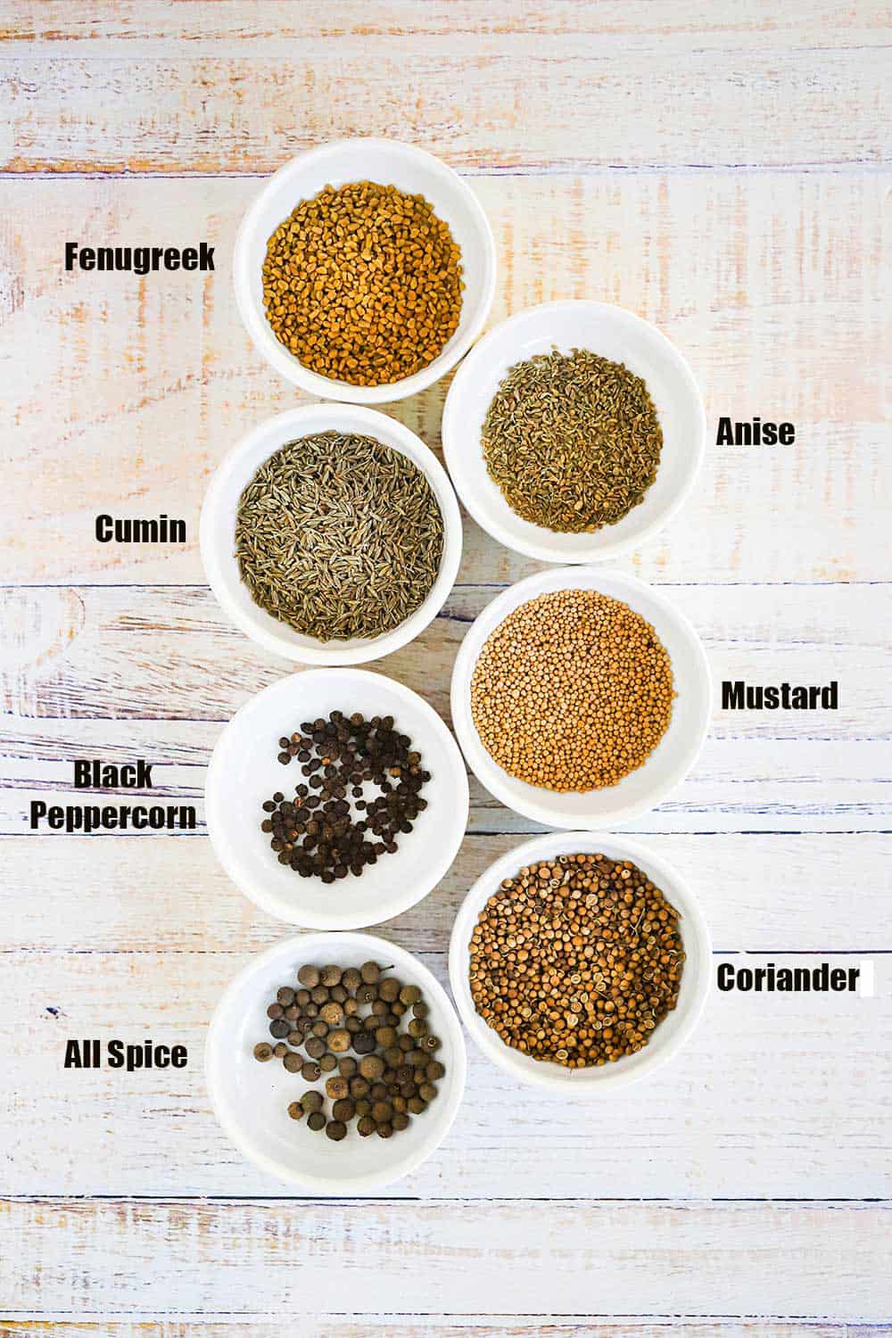 7 small white bowls filled with various seeds used for Jamaican curry powder.