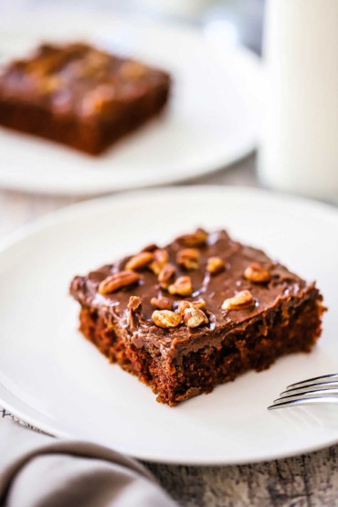 A perfectly square piece of chocolate sheet cake topped with chopped pecans sitting on a white dessert plate.