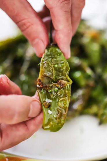 A person holding up a single seared shishito pepper that has been sprinkled with lime zest and coarse sea salt.