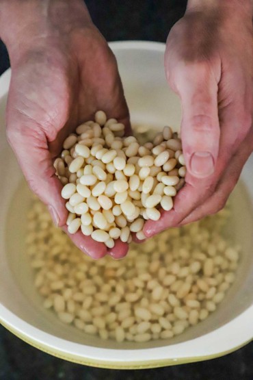 A person's two hands holding dried navy beans over a bowl of the beans in water.