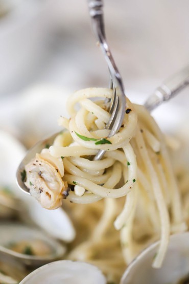 A fork and spoon being used to raise cooked spaghetti and a clam over a bowl of spaghetti alle vongole which is pasta with clam sauce.