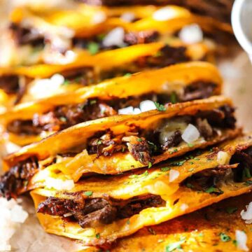 A straight-on view of a row of beef birria tacos that are in a row each one resting on top of the taco next to it and they are garnish with chopped onion and cilantro.