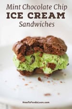 A close-up view of a mint chocolate chip ice cream cookie sandwich with a bite take out of it and sitting on a white dessert plate.