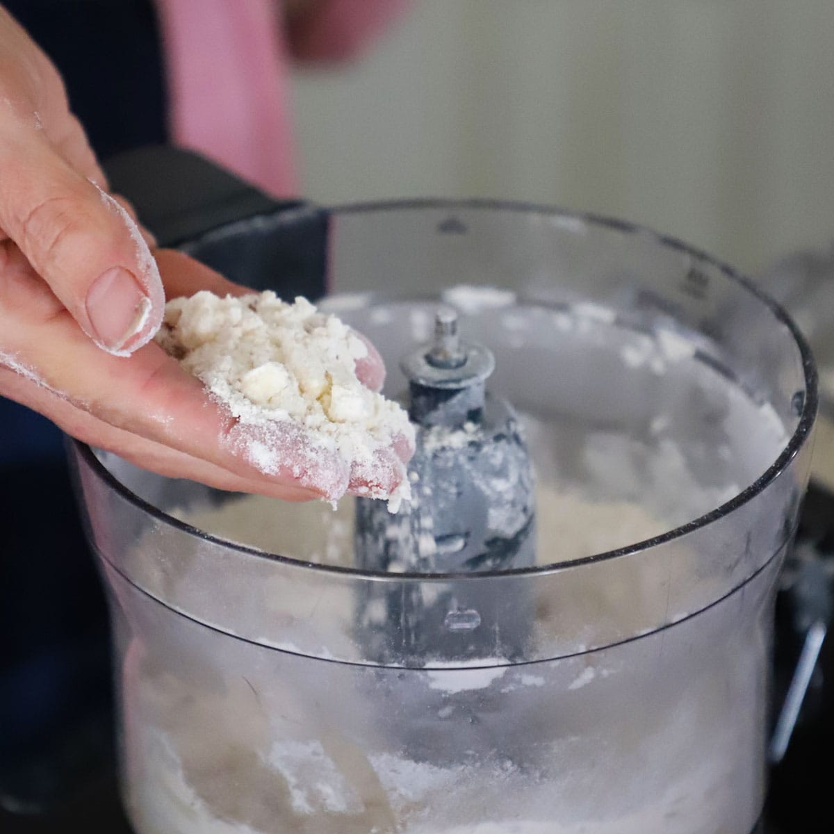 A person holding up flour and butter pieces that have been slightly processed in a food processor. 