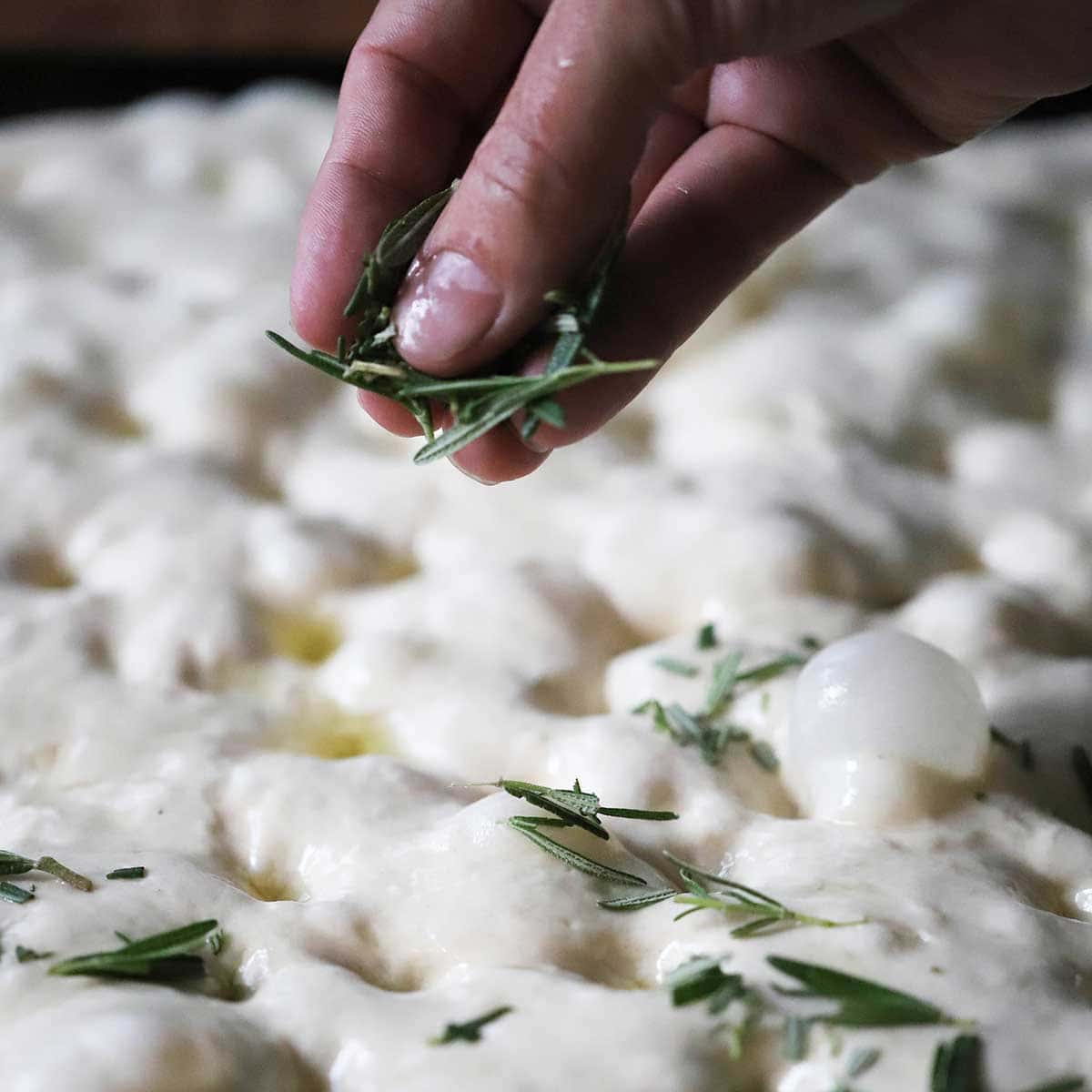 A person sprinkling chopped fresh rosemary over the surface of uncooked focaccia dough on a baking sheet pan. 