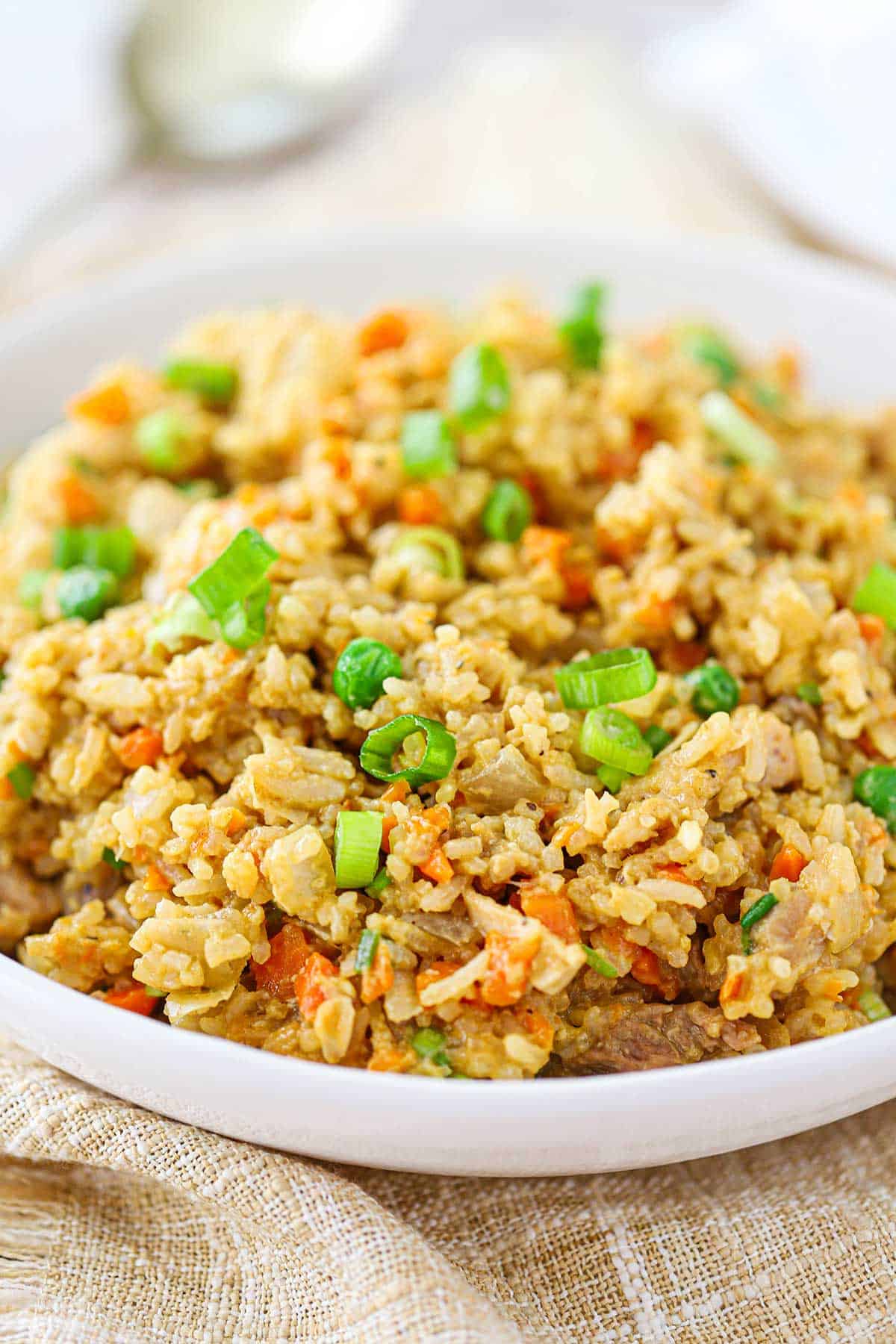 A shallow white ceramic bowl filled with a serving of chicken fried rice topped with chopped scallions.