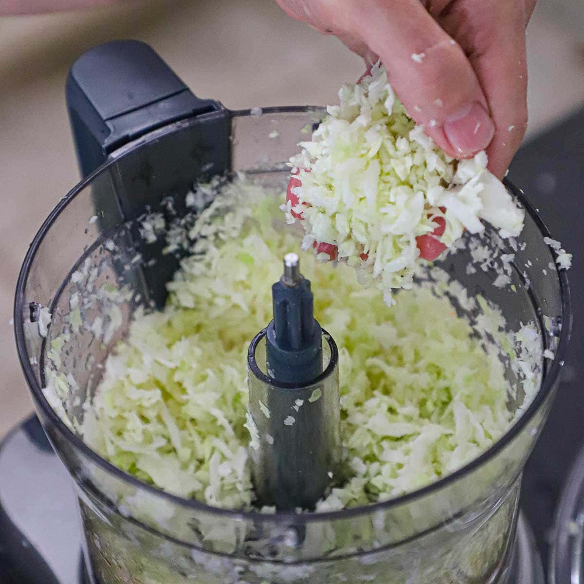 A person using lifting shredded green cabbage from the bowl of a food processor.