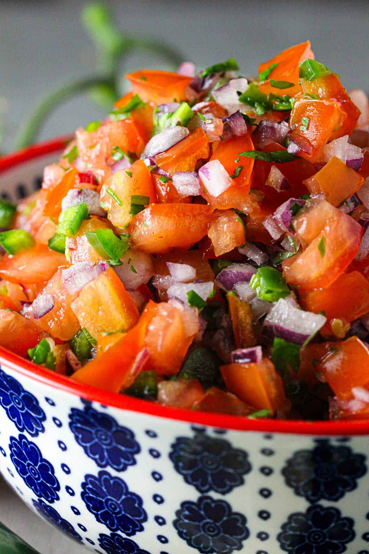 A close-up view of a colorful bowl of filled with a pile freshly made pico de gallo with chopped tomatoes, red onion, jalapeño, and cilantro.