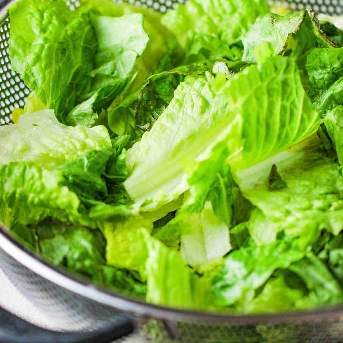 Chopped romaine lettuce in a large metal colander.