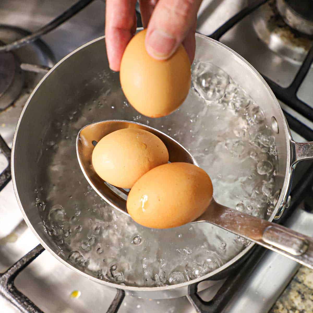A person holding a brown egg in one hand and holding a slotted spoon with two more brown eggs over a saucepan filled with boiling water.