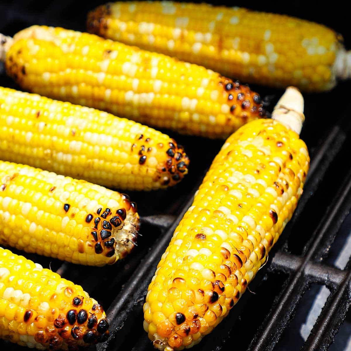 Six ears of corn that have been shucked and are being grilled on a gas grill with some of the kernels slightly charred.