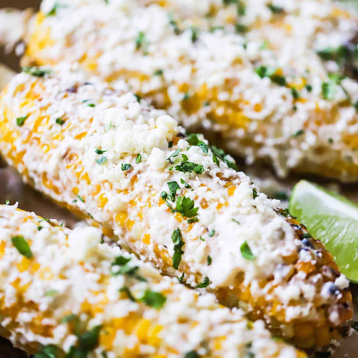 A close-up view of a row of Mexican street corn that has been garnished with crumbled Cotija cheese and chopped cilantro.