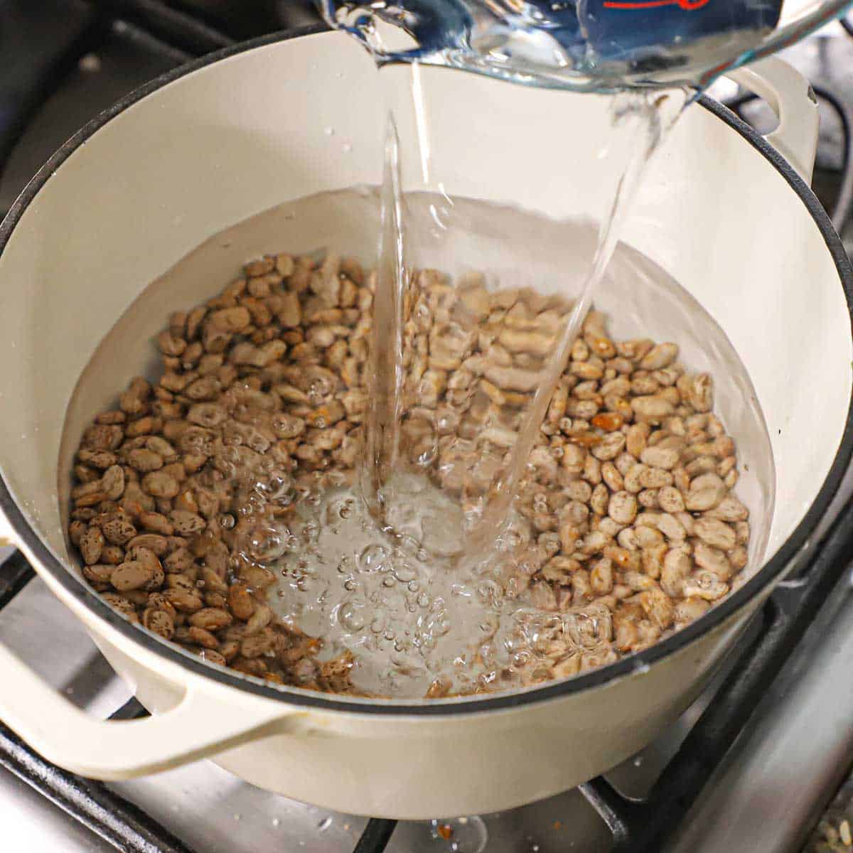A person pouring water into a white pot that is filled with dried pinto beans.