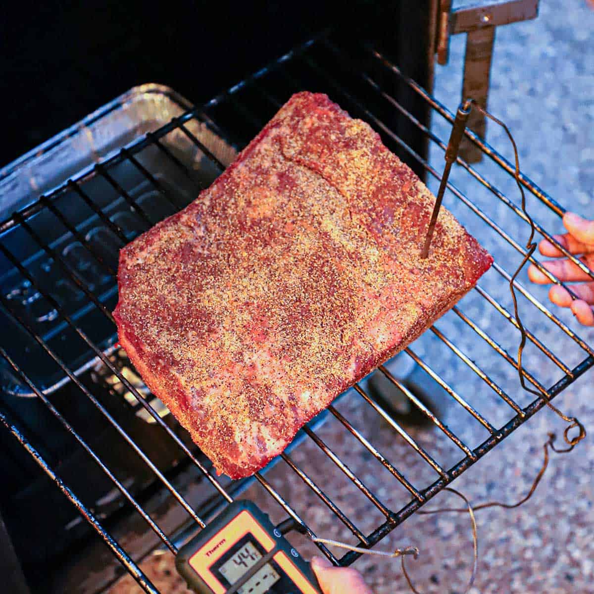 A person holding a grate of an electric smoker that has an uncooked, seasoned beef brisket flat on and with a digital thermometer probe stuck into the thickest part of the meat.