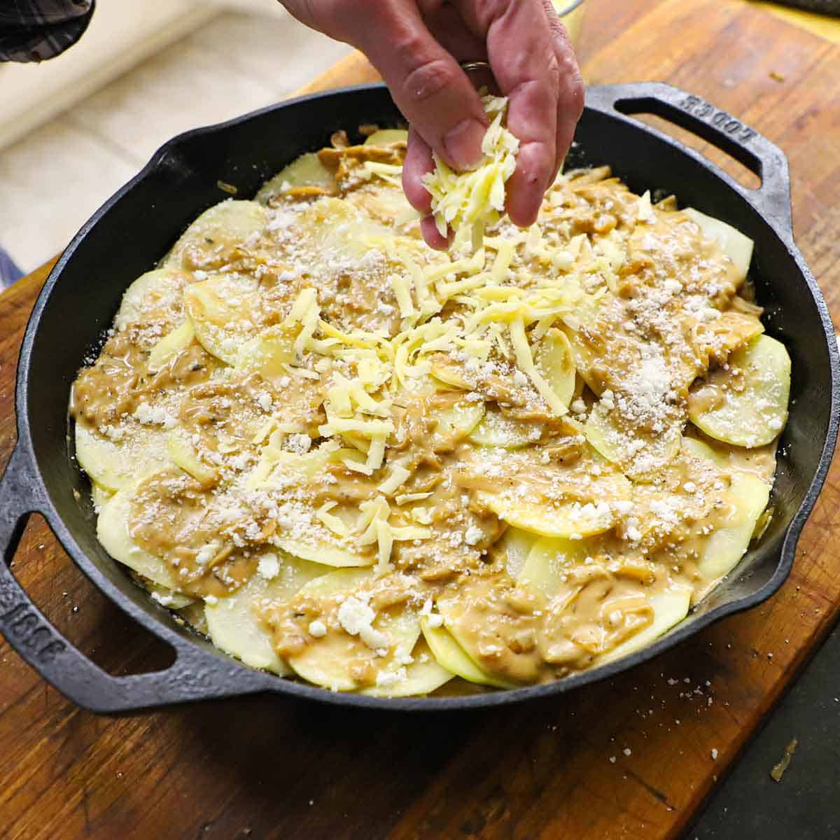 A person sprinkling shredded Gruyere cheese over the top of layers of sliced gold potatoes and a French onion cream sauce.