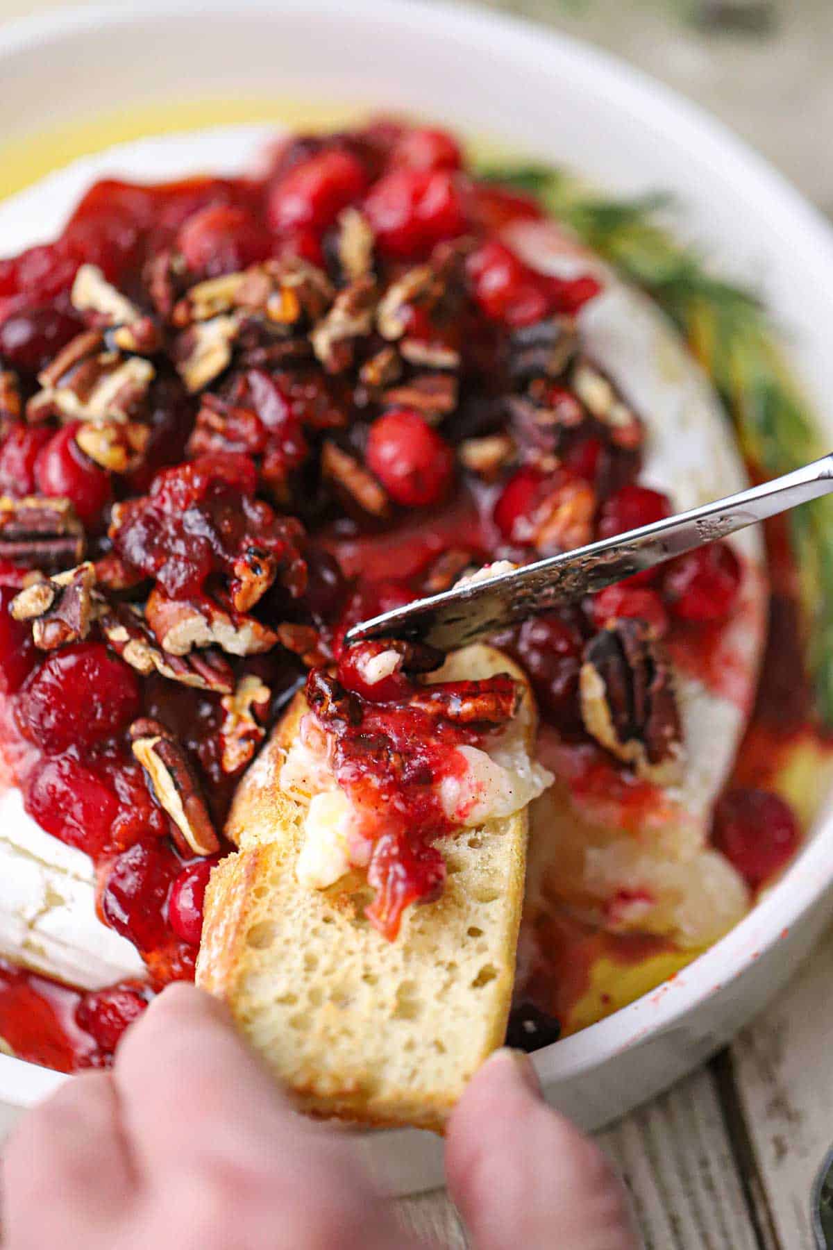 A person using a small knife to spread baked brie with cranberry-orange sauce and pecans onto a small piece of toast.