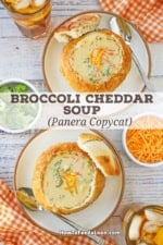 An overhead view of two small plates both holding a sourdough bread bowl filled broccoli cheddar soup.