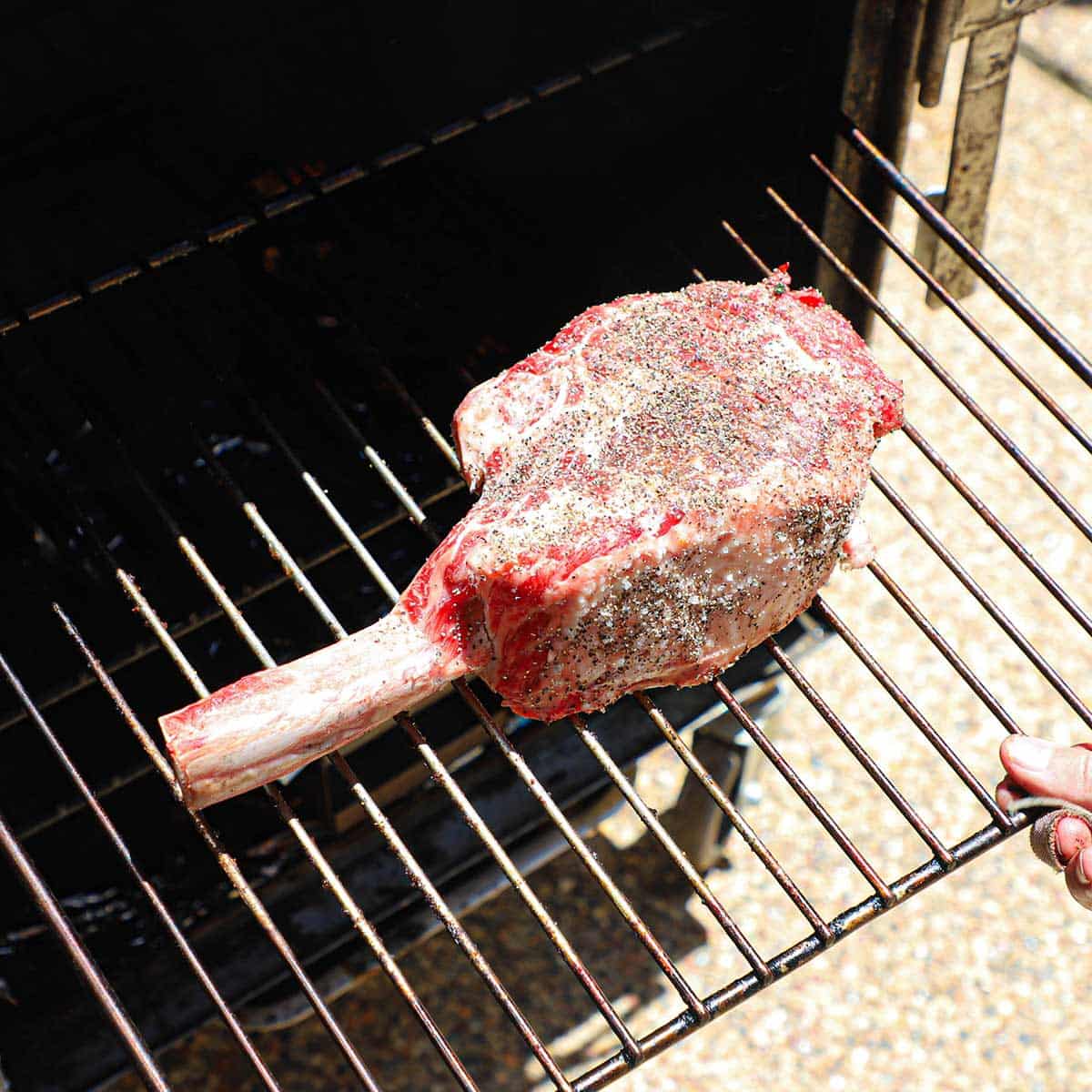 A person pushing a grate that is holding a seasoned uncooked tomahawk steak into an electric smoker.